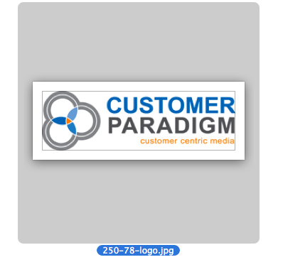 Customer Paradigm Logo on Laptop