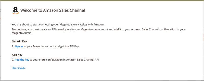 Amazon Sales Channel - Get API key