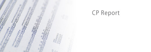 Customer Paradigm - CP Report - Image