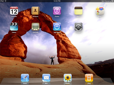 iPad Home Screen screenshot