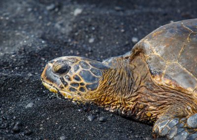 2048-Day-Eight-Hawaii-6427