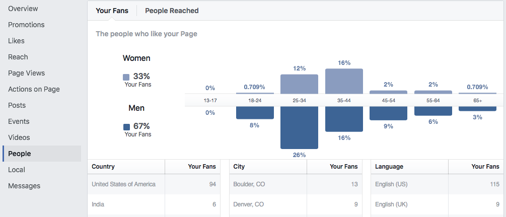 Sample Facebook Business Page Insights