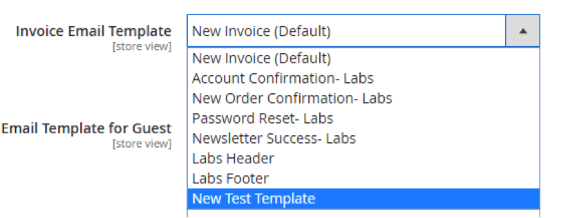 Email Template Invoice Dropdown Options