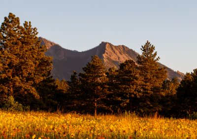 Image of Boulder Flatirons on the Flatirons Vista Trail in Boulder, CO